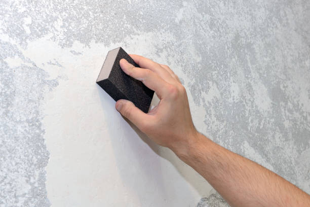 Best Black Mold Removal  in Robie Creek, ID