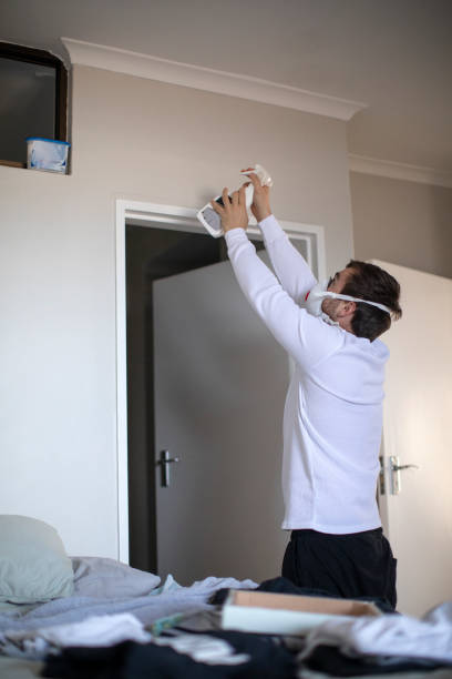 Best Environmental Consulting for Mold Prevention  in Robie Creek, ID